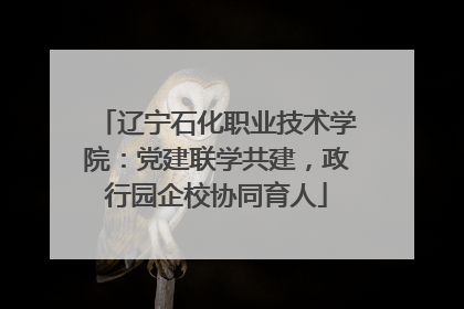 辽宁石化职业技术学院：党建联学共建，政行园企校协同育人