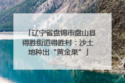 辽宁省盘锦市盘山县得胜街道得胜村：沙土地种出“黄金果”