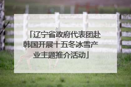 辽宁省政府代表团赴韩国开展十五冬冰雪产业主题推介活动