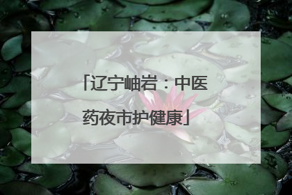 辽宁岫岩：中医药夜市护健康
