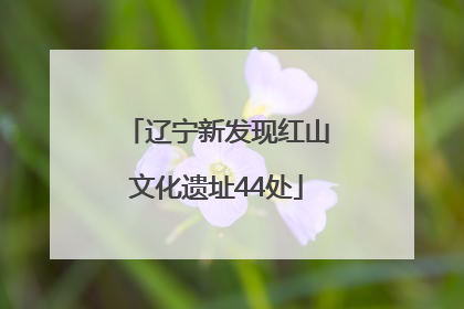 辽宁新发现红山文化遗址44处