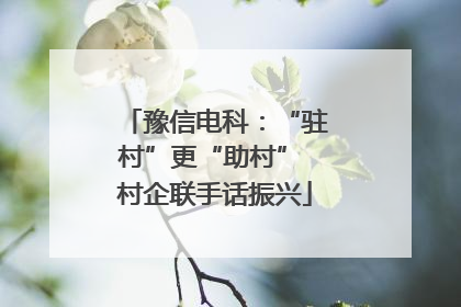 豫信电科：“驻村”更“助村” 村企联手话振兴