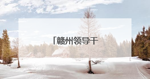 赣州领导干部任前公示