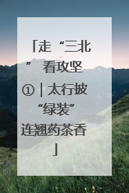 走“三北” 看攻坚①｜太行披“绿装” 连翘药茶香
