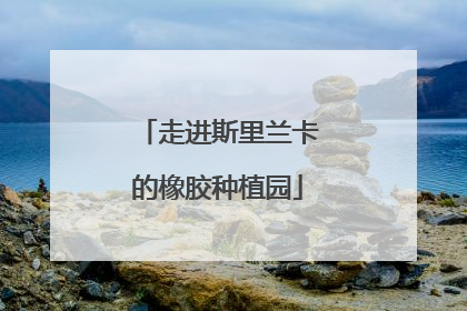 走进斯里兰卡的橡胶种植园