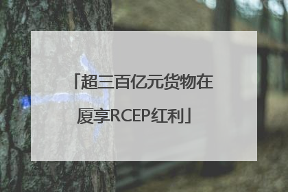 超三百亿元货物在厦享RCEP红利