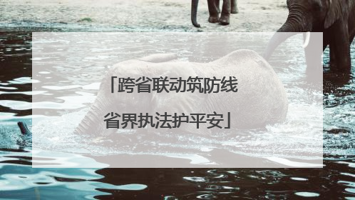 跨省联动筑防线 省界执法护平安