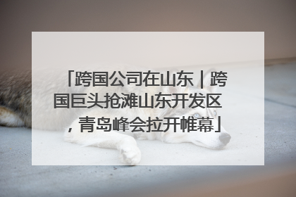 跨国公司在山东｜跨国巨头抢滩山东开发区，青岛峰会拉开帷幕