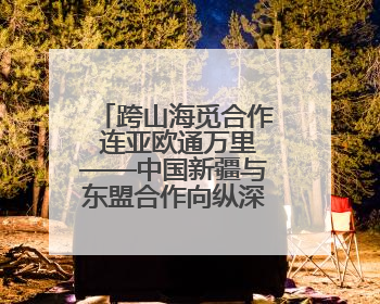 跨山海觅合作 连亚欧通万里——中国新疆与东盟合作向纵深突破观察