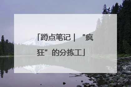蹲点笔记｜“疯狂”的分拣工