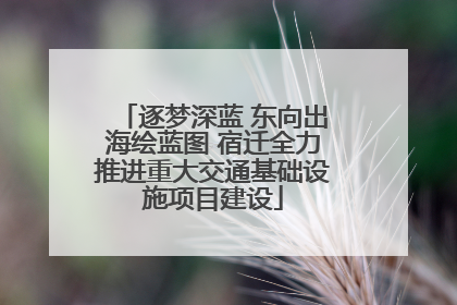 逐梦深蓝 东向出海绘蓝图 宿迁全力推进重大交通基础设施项目建设