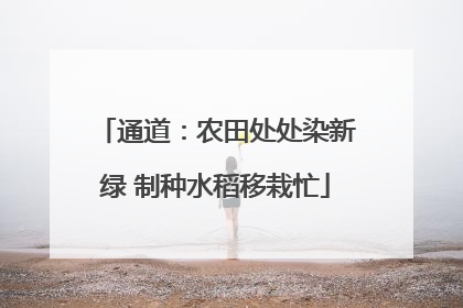 通道：农田处处染新绿 制种水稻移栽忙