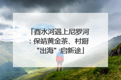 酉水河遇上尼罗河：保靖黄金茶、村厨“出海”启新途