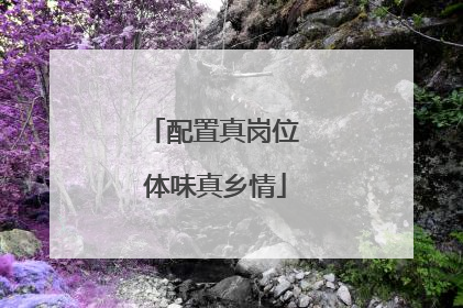 配置真岗位 体味真乡情
