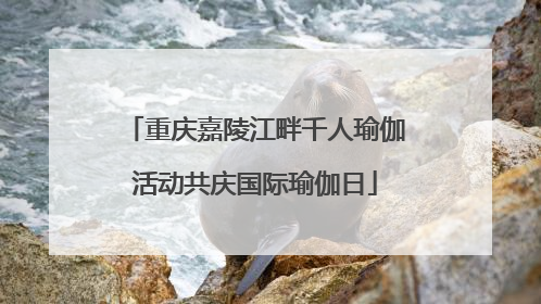重庆嘉陵江畔千人瑜伽活动共庆国际瑜伽日