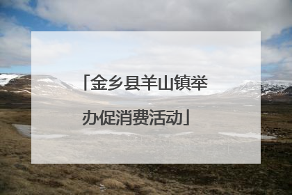 金乡县羊山镇举办促消费活动