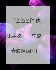 金色芒种·豫见丰收——中原麦浪翻滚时