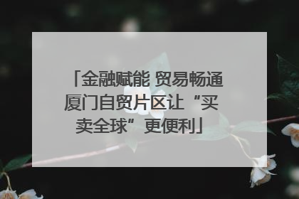 金融赋能 贸易畅通 厦门自贸片区让“买卖全球”更便利