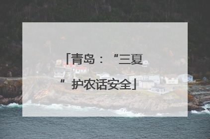 青岛：“三夏”护农话安全