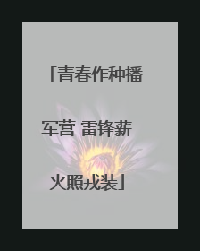 青春作种播军营 雷锋薪火照戎装