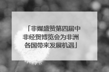 非媒盛赞第四届中非经贸博览会为非洲各国带来发展机遇