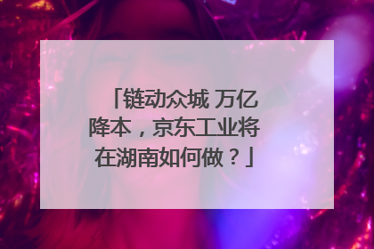 链动众城 万亿降本，京东工业将在湖南如何做？