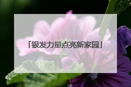 银发力量点亮新家园