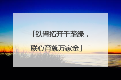 铁臂拓开千垄绿，联心育就万家金