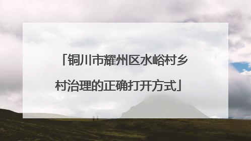 铜川市耀州区水峪村乡村治理的正确打开方式