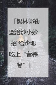 锡林郭勒盟治沙小妙招 给沙地吃上“营养餐”