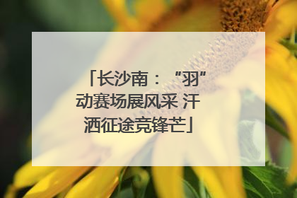 长沙南：“羽”动赛场展风采 汗洒征途竞锋芒