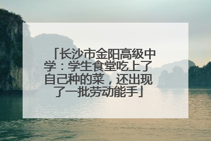 长沙市金阳高级中学：学生食堂吃上了自己种的菜，还出现了一批劳动能手