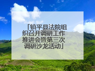 镇平县法院组织召开调研工作推进会暨第三次调研沙龙活动