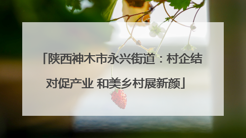 陕西神木市永兴街道：村企结对促产业 和美乡村展新颜