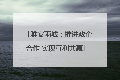 雅安雨城：推进政企合作 实现互利共赢
