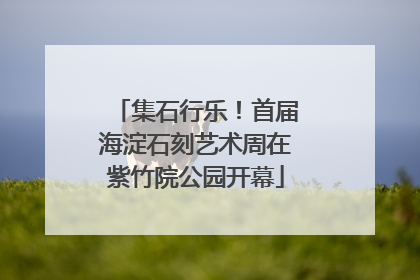 集石行乐！首届海淀石刻艺术周在紫竹院公园开幕