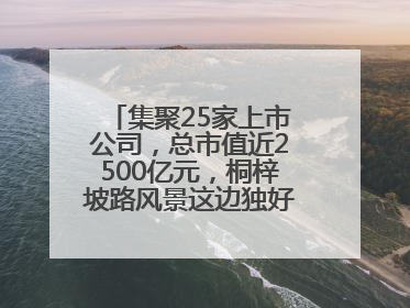 集聚25家上市公司，总市值近2500亿元，桐梓坡路风景这边独好——长沙有条“上市路”