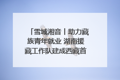 雪域湘音丨助力藏族青年就业 湖南援藏工作队建成西藏首个清洁能源装备园