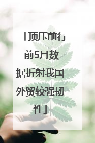 顶压前行 前5月数据折射我国外贸较强韧性