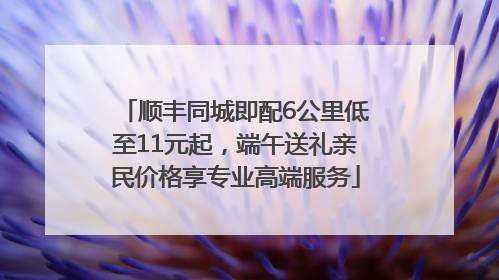 顺丰同城即配6公里低至11元起，端午送礼亲民价格享专业高端服务