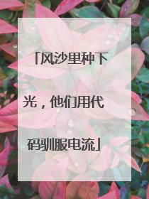 风沙里种下光，他们用代码驯服电流