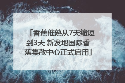 香蕉催熟从7天缩短到3天 新发地国际香蕉集散中心正式启用