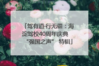 驾有道·行无疆：海淀驾校40周年庆典 “强国之声” 特辑