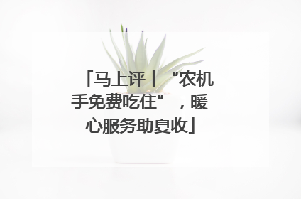 马上评丨“农机手免费吃住”，暖心服务助夏收