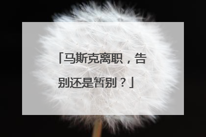 马斯克离职，告别还是暂别？
