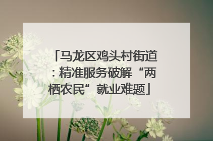 马龙区鸡头村街道：精准服务破解“两栖农民”就业难题