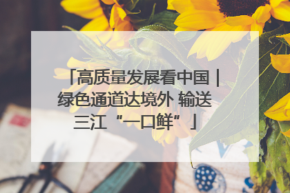 高质量发展看中国｜绿色通道达境外 输送三江“一口鲜”