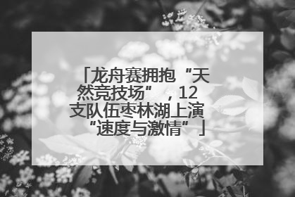龙舟赛拥抱“天然竞技场”，12支队伍枣林湖上演“速度与激情”