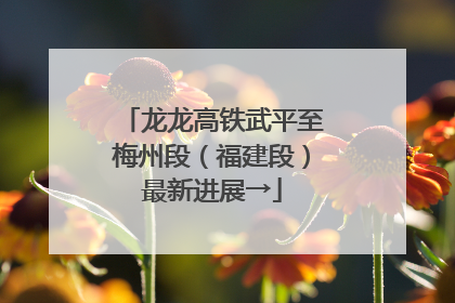 龙龙高铁武平至梅州段（福建段）最新进展→