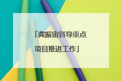 龚振宙督导重点项目推进工作
